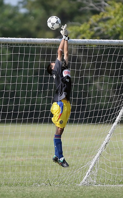 金州勇士的 金州勇士的