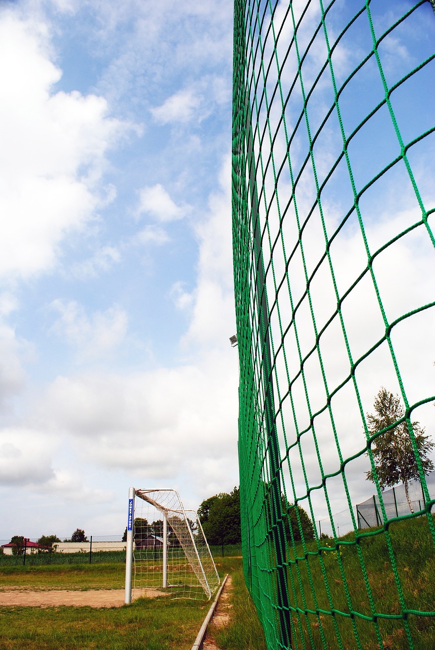 引发现今争 引发现今争