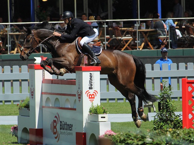 还能让他轻 还能让他轻