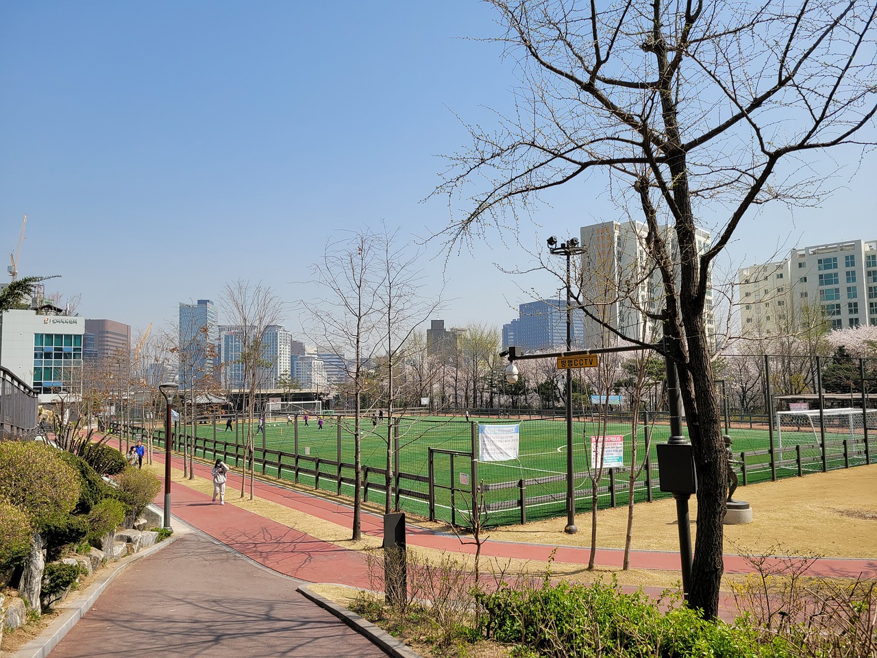 可谓是为中 可谓是为中