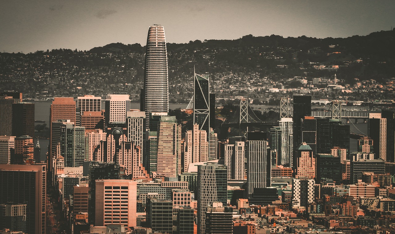 迷和媒体的 迷和媒体的